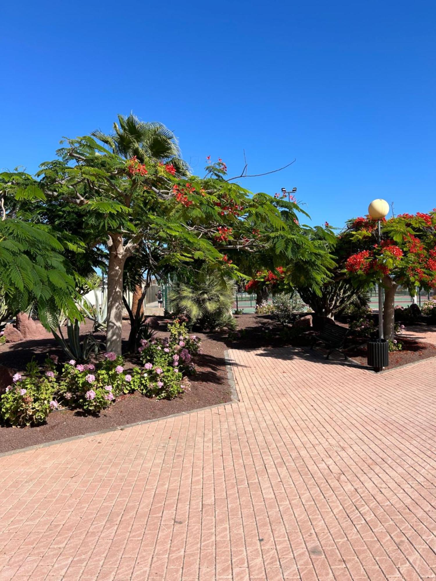 Honey Bunch Apartamento Caleta De Fuste Exterior foto